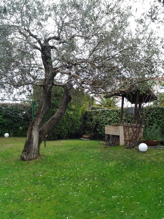 Robert House Appartement
